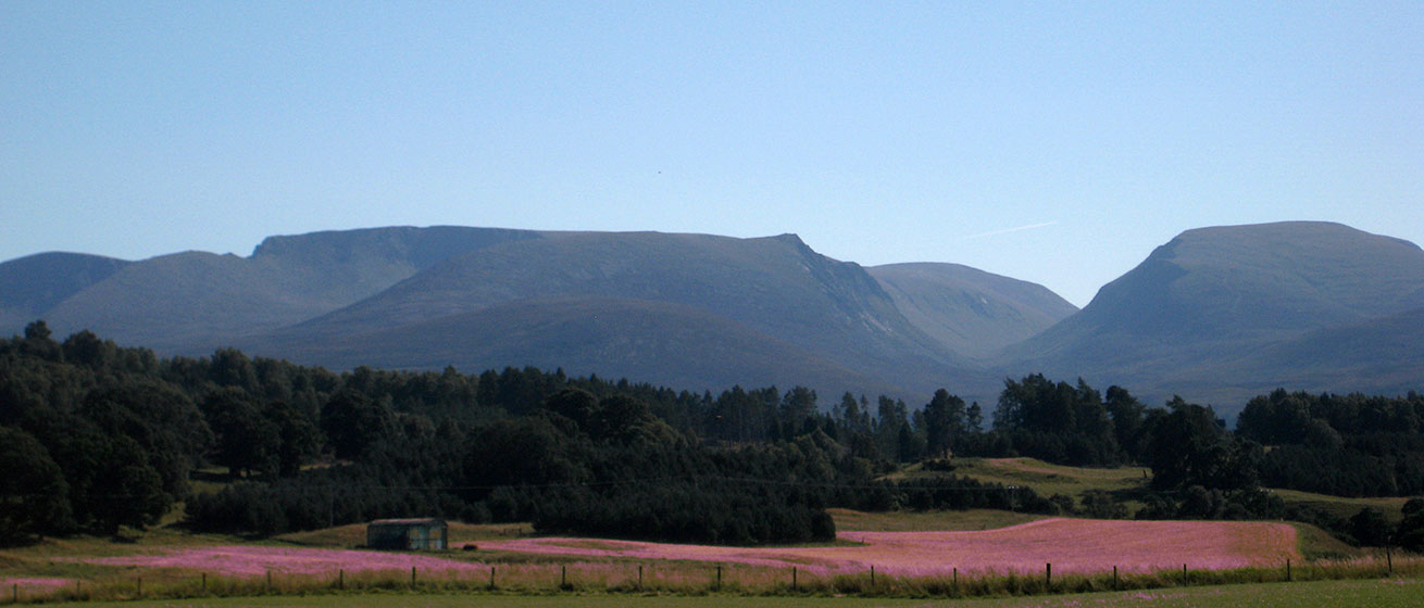 cairngorms