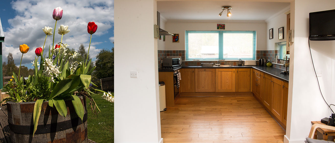 pt-kitchen ptarmigan kitchen